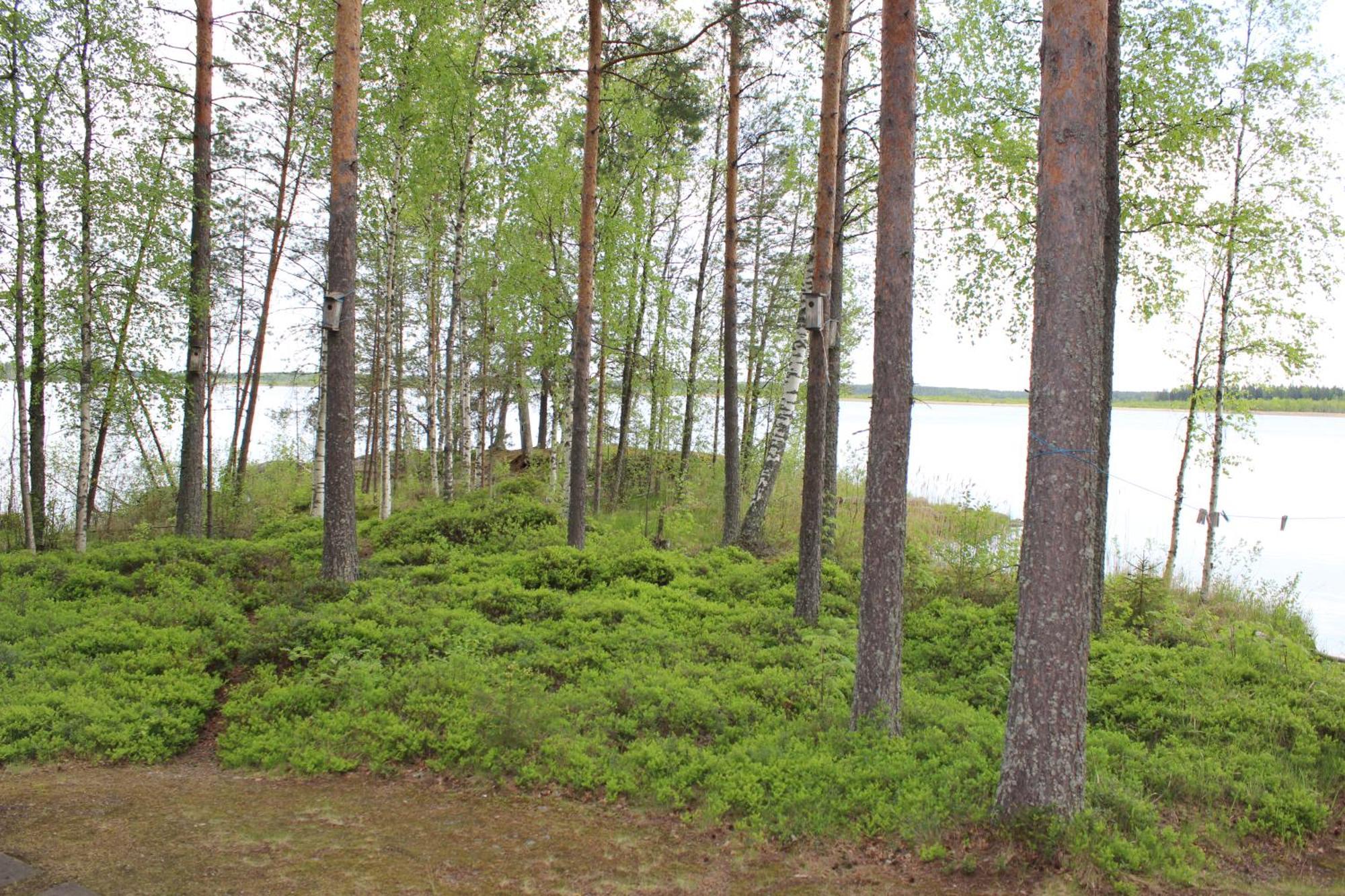 Lomamokkila Savonlinna